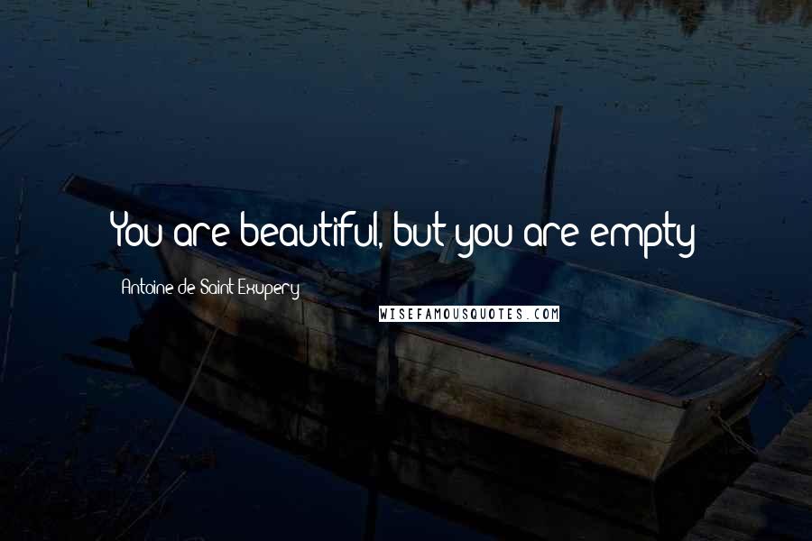 Antoine De Saint-Exupery Quotes: You are beautiful, but you are empty