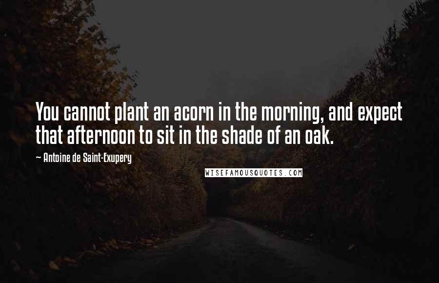 Antoine De Saint-Exupery Quotes: You cannot plant an acorn in the morning, and expect that afternoon to sit in the shade of an oak.