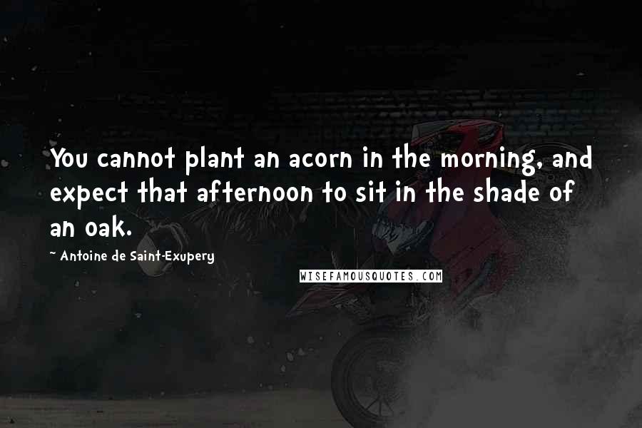 Antoine De Saint-Exupery Quotes: You cannot plant an acorn in the morning, and expect that afternoon to sit in the shade of an oak.