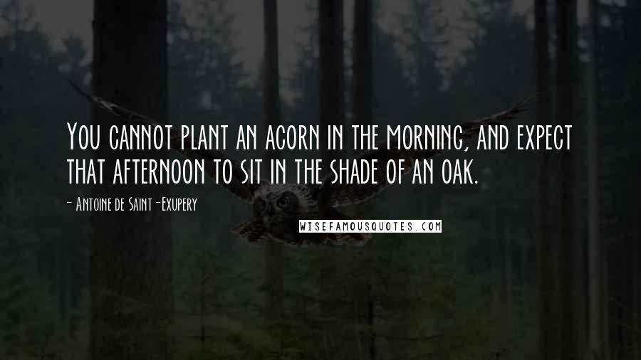 Antoine De Saint-Exupery Quotes: You cannot plant an acorn in the morning, and expect that afternoon to sit in the shade of an oak.