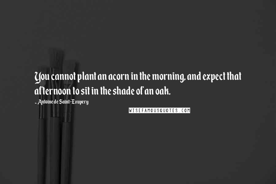 Antoine De Saint-Exupery Quotes: You cannot plant an acorn in the morning, and expect that afternoon to sit in the shade of an oak.