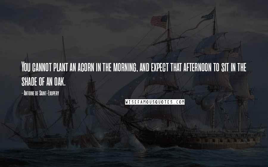 Antoine De Saint-Exupery Quotes: You cannot plant an acorn in the morning, and expect that afternoon to sit in the shade of an oak.