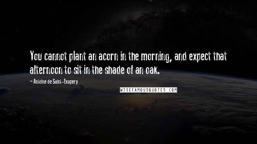 Antoine De Saint-Exupery Quotes: You cannot plant an acorn in the morning, and expect that afternoon to sit in the shade of an oak.