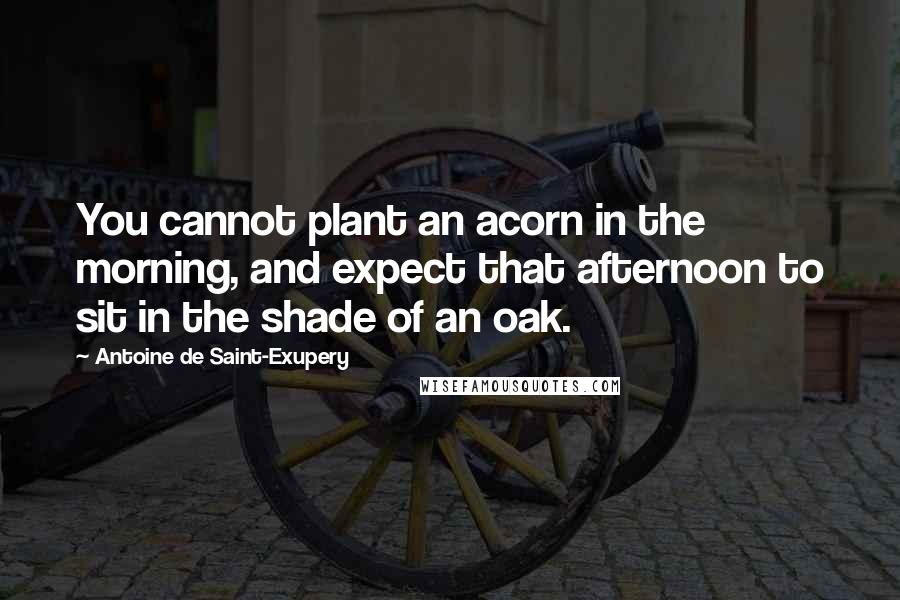 Antoine De Saint-Exupery Quotes: You cannot plant an acorn in the morning, and expect that afternoon to sit in the shade of an oak.