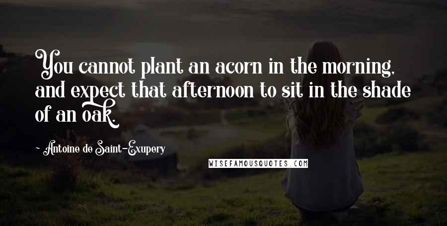 Antoine De Saint-Exupery Quotes: You cannot plant an acorn in the morning, and expect that afternoon to sit in the shade of an oak.