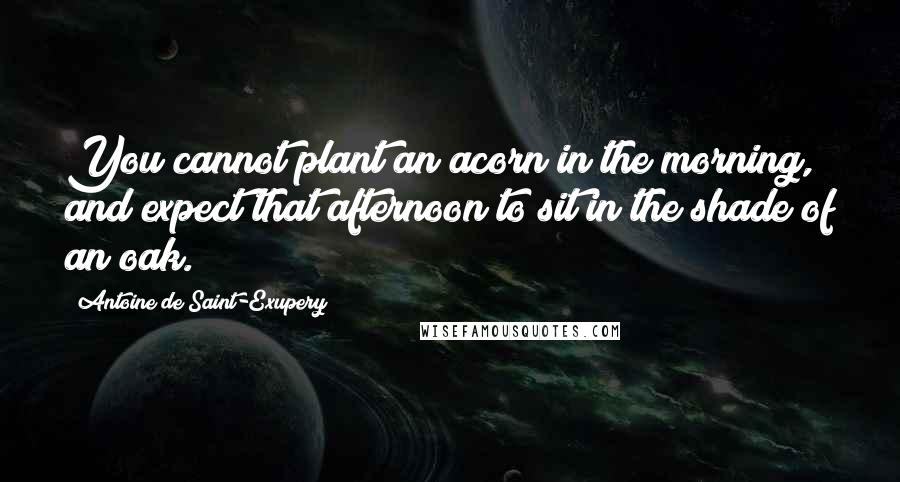 Antoine De Saint-Exupery Quotes: You cannot plant an acorn in the morning, and expect that afternoon to sit in the shade of an oak.