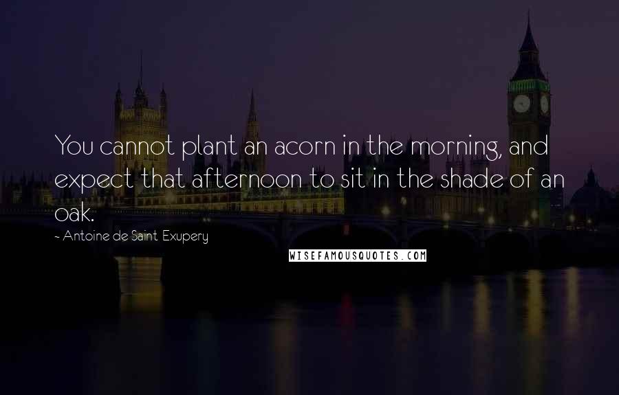 Antoine De Saint-Exupery Quotes: You cannot plant an acorn in the morning, and expect that afternoon to sit in the shade of an oak.