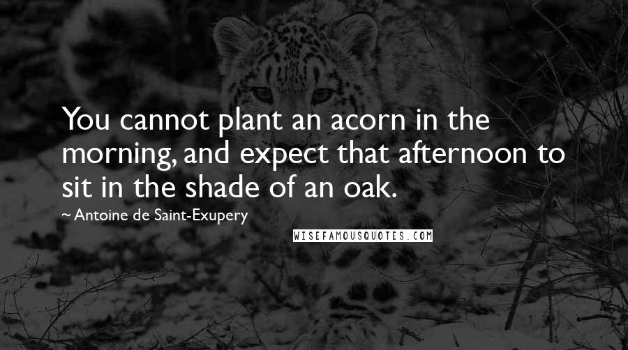 Antoine De Saint-Exupery Quotes: You cannot plant an acorn in the morning, and expect that afternoon to sit in the shade of an oak.