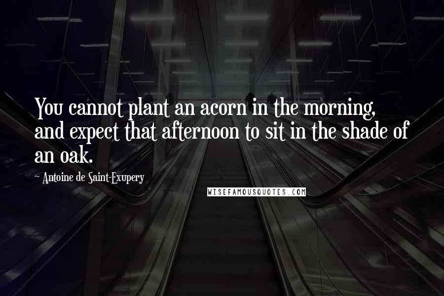 Antoine De Saint-Exupery Quotes: You cannot plant an acorn in the morning, and expect that afternoon to sit in the shade of an oak.