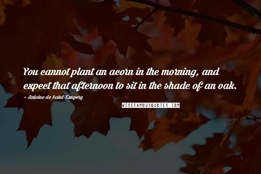 Antoine De Saint-Exupery Quotes: You cannot plant an acorn in the morning, and expect that afternoon to sit in the shade of an oak.