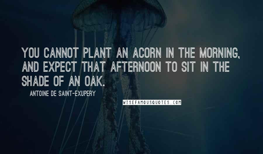 Antoine De Saint-Exupery Quotes: You cannot plant an acorn in the morning, and expect that afternoon to sit in the shade of an oak.