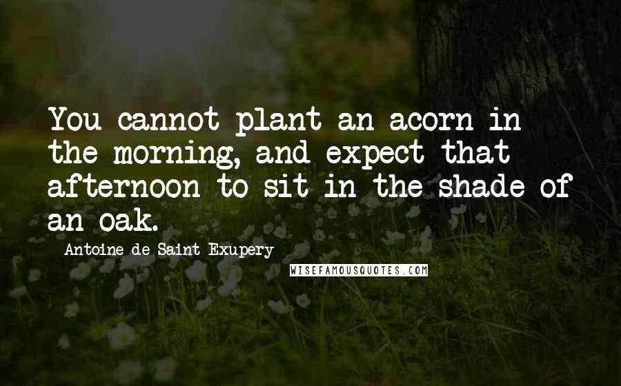 Antoine De Saint-Exupery Quotes: You cannot plant an acorn in the morning, and expect that afternoon to sit in the shade of an oak.