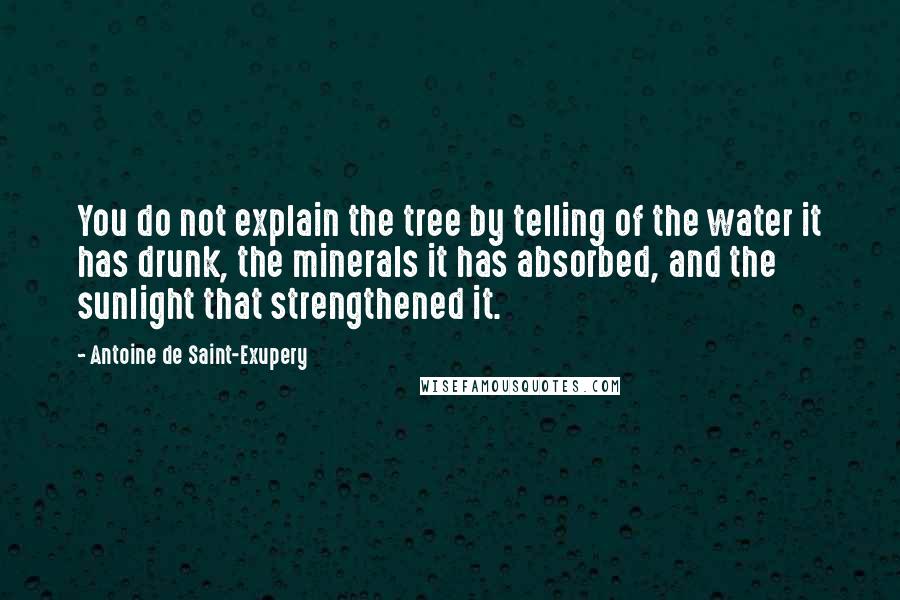 Antoine De Saint-Exupery Quotes: You do not explain the tree by telling of the water it has drunk, the minerals it has absorbed, and the sunlight that strengthened it.