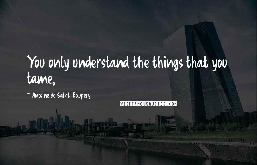 Antoine De Saint-Exupery Quotes: You only understand the things that you tame,