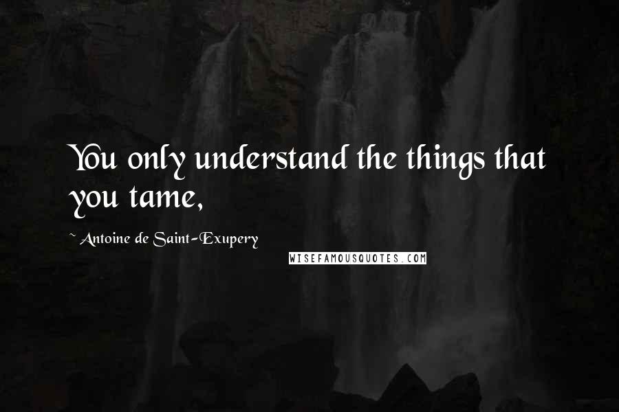 Antoine De Saint-Exupery Quotes: You only understand the things that you tame,