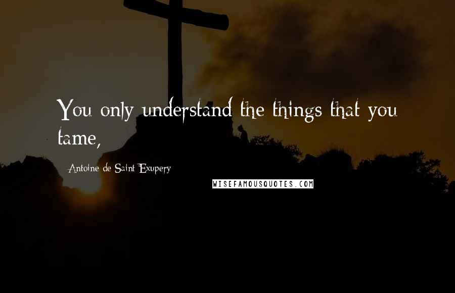 Antoine De Saint-Exupery Quotes: You only understand the things that you tame,