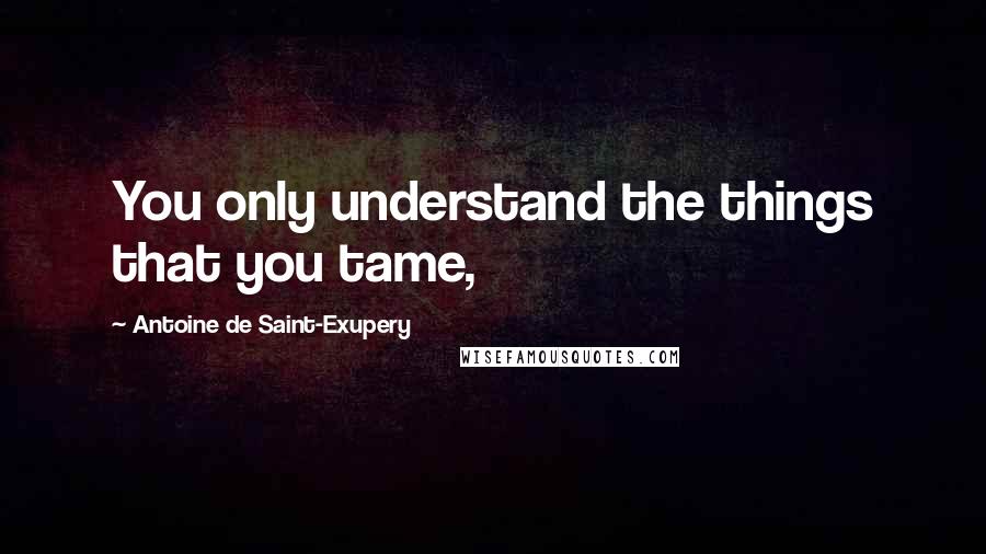 Antoine De Saint-Exupery Quotes: You only understand the things that you tame,