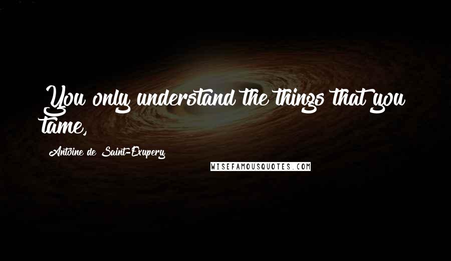 Antoine De Saint-Exupery Quotes: You only understand the things that you tame,