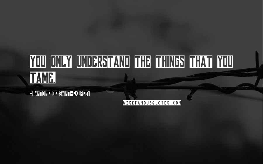 Antoine De Saint-Exupery Quotes: You only understand the things that you tame,