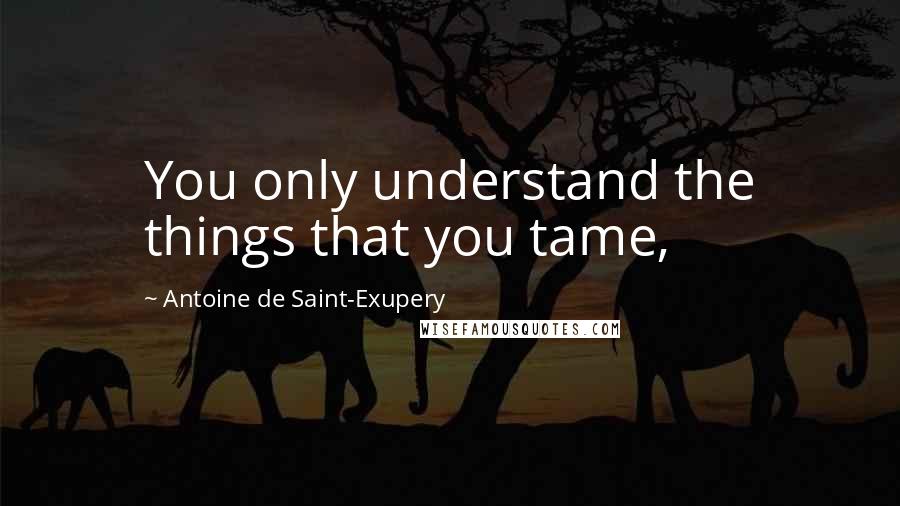 Antoine De Saint-Exupery Quotes: You only understand the things that you tame,