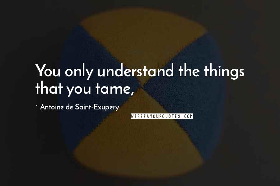 Antoine De Saint-Exupery Quotes: You only understand the things that you tame,