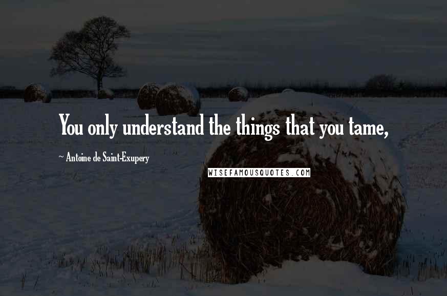 Antoine De Saint-Exupery Quotes: You only understand the things that you tame,