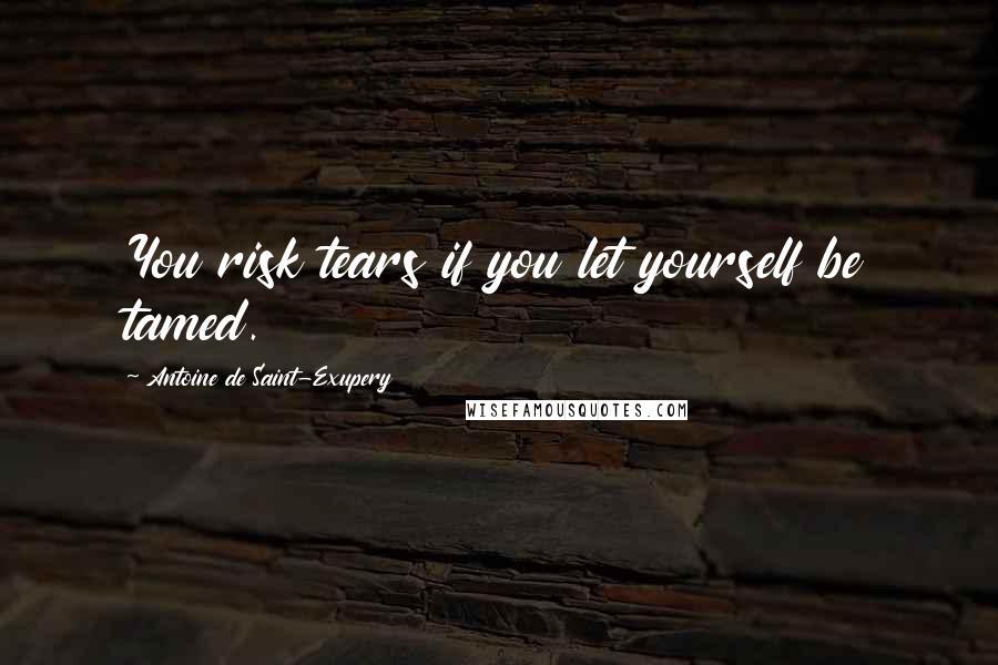 Antoine De Saint-Exupery Quotes: You risk tears if you let yourself be tamed.