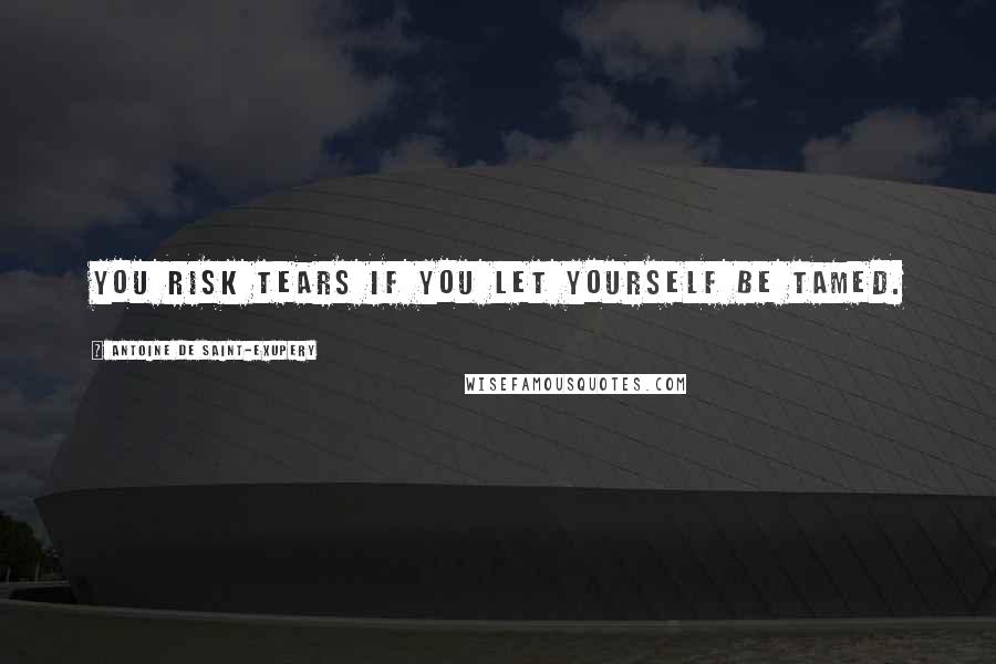 Antoine De Saint-Exupery Quotes: You risk tears if you let yourself be tamed.