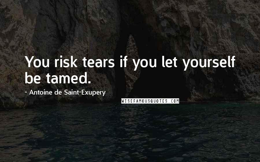 Antoine De Saint-Exupery Quotes: You risk tears if you let yourself be tamed.