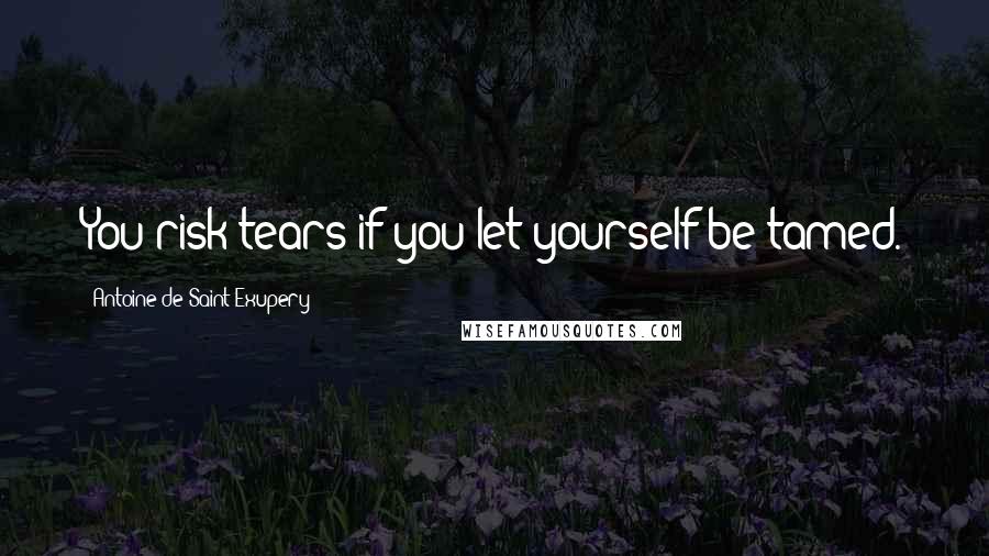 Antoine De Saint-Exupery Quotes: You risk tears if you let yourself be tamed.