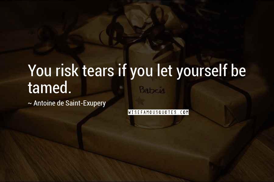 Antoine De Saint-Exupery Quotes: You risk tears if you let yourself be tamed.