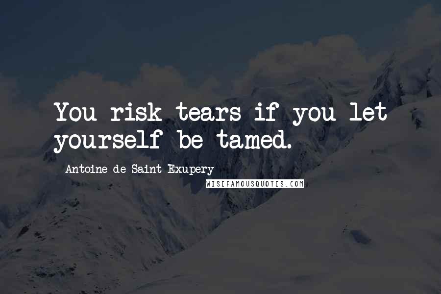 Antoine De Saint-Exupery Quotes: You risk tears if you let yourself be tamed.