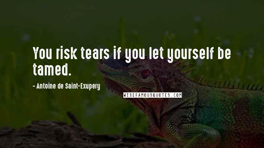 Antoine De Saint-Exupery Quotes: You risk tears if you let yourself be tamed.