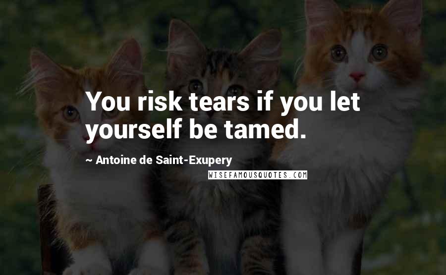 Antoine De Saint-Exupery Quotes: You risk tears if you let yourself be tamed.