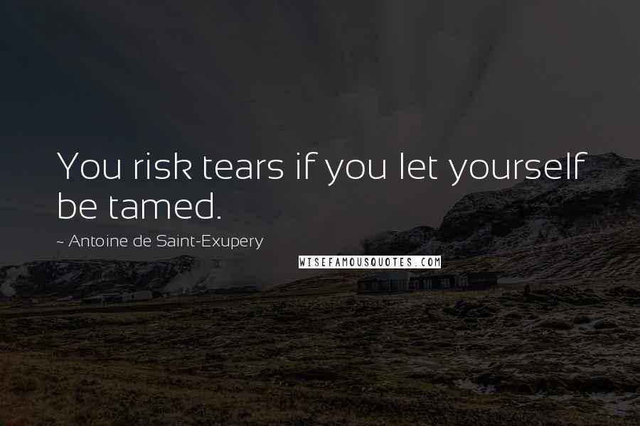 Antoine De Saint-Exupery Quotes: You risk tears if you let yourself be tamed.