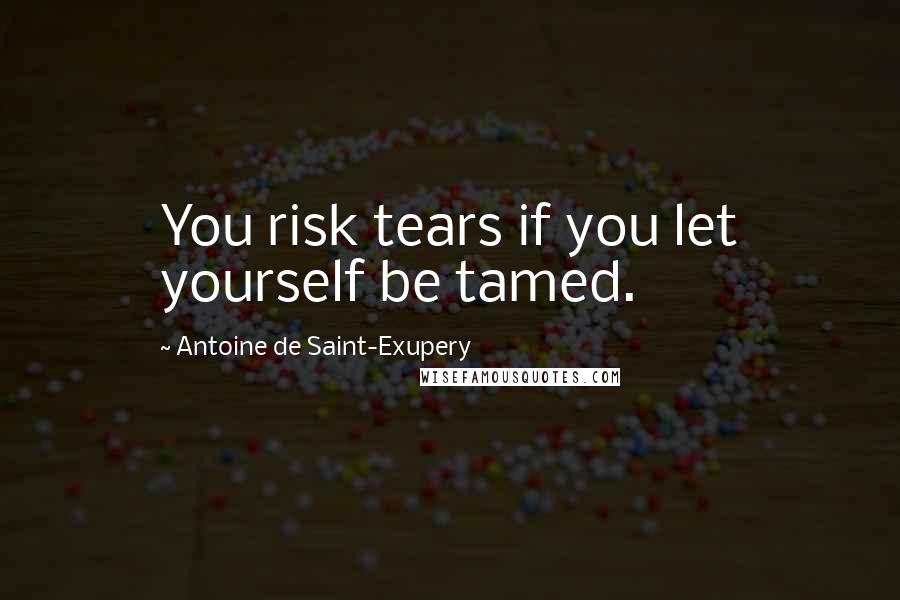 Antoine De Saint-Exupery Quotes: You risk tears if you let yourself be tamed.