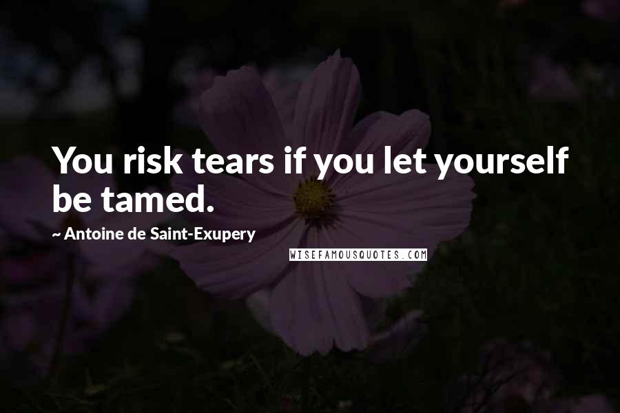 Antoine De Saint-Exupery Quotes: You risk tears if you let yourself be tamed.