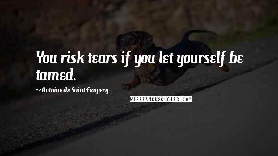 Antoine De Saint-Exupery Quotes: You risk tears if you let yourself be tamed.