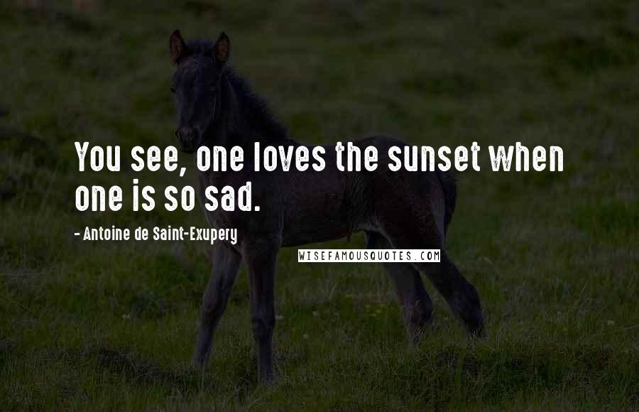 Antoine De Saint-Exupery Quotes: You see, one loves the sunset when one is so sad.