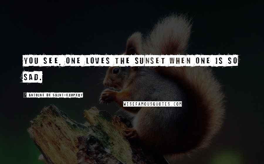 Antoine De Saint-Exupery Quotes: You see, one loves the sunset when one is so sad.