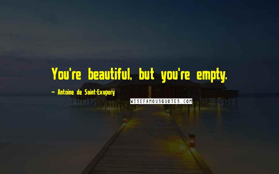 Antoine De Saint-Exupery Quotes: You're beautiful, but you're empty.