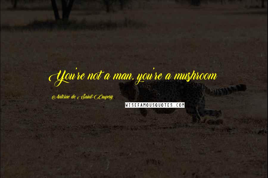 Antoine De Saint-Exupery Quotes: You're not a man, you're a mushroom!