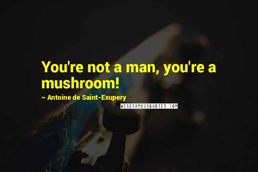 Antoine De Saint-Exupery Quotes: You're not a man, you're a mushroom!