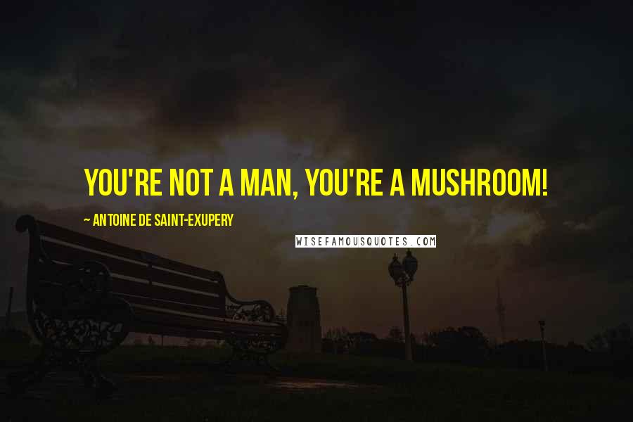 Antoine De Saint-Exupery Quotes: You're not a man, you're a mushroom!