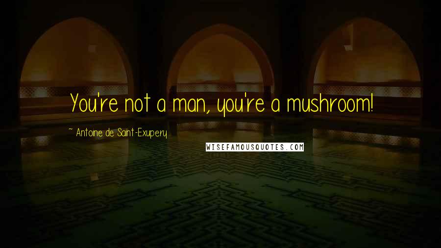 Antoine De Saint-Exupery Quotes: You're not a man, you're a mushroom!