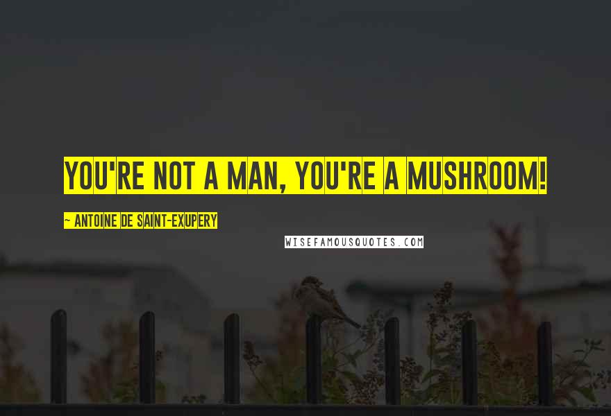 Antoine De Saint-Exupery Quotes: You're not a man, you're a mushroom!