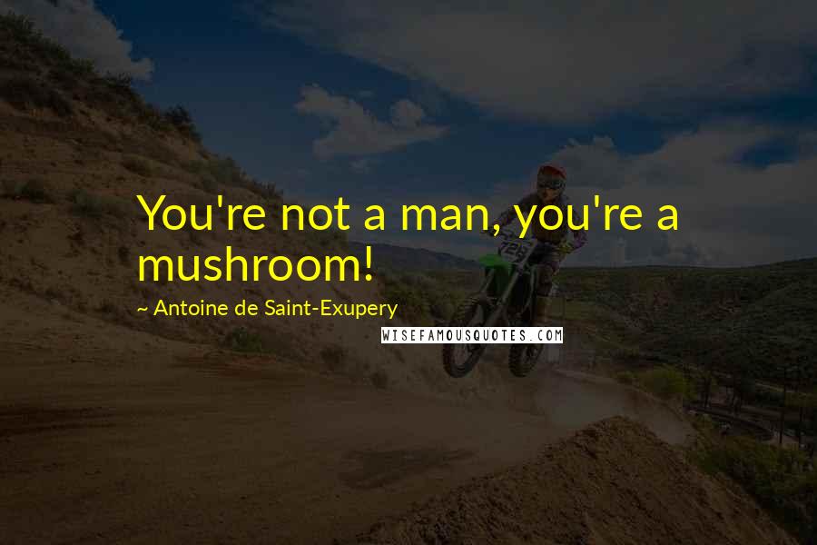 Antoine De Saint-Exupery Quotes: You're not a man, you're a mushroom!