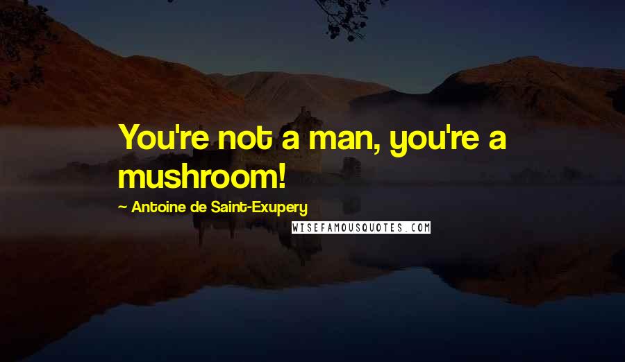 Antoine De Saint-Exupery Quotes: You're not a man, you're a mushroom!