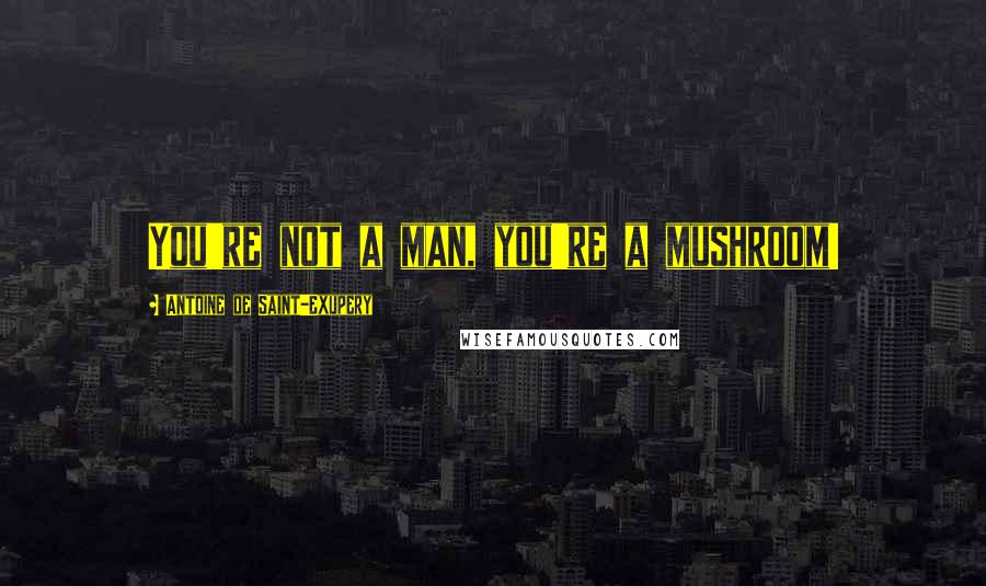 Antoine De Saint-Exupery Quotes: You're not a man, you're a mushroom!