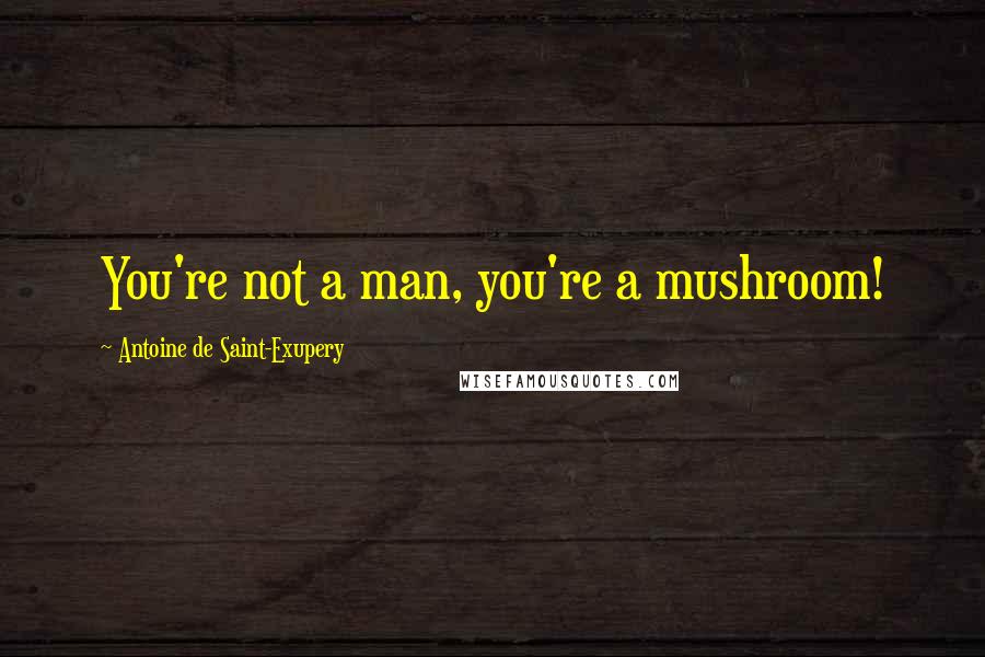 Antoine De Saint-Exupery Quotes: You're not a man, you're a mushroom!